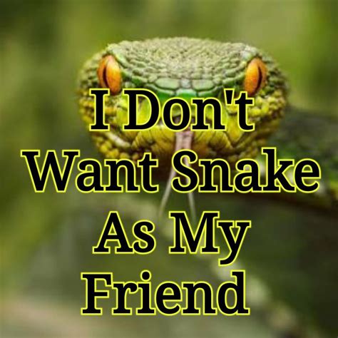 fake friends are like snakes